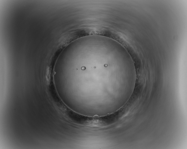 X0000088740695200705311447