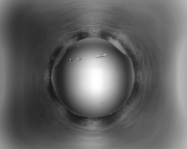 X0000088740697200705311447