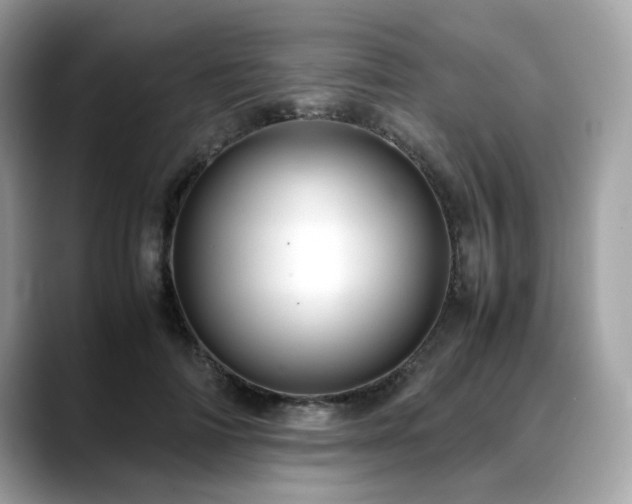 X0000088740698200705311447