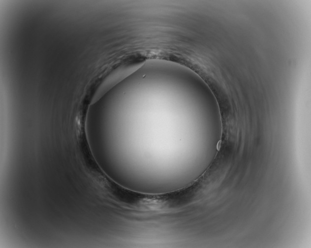 X0000088740699200705311447