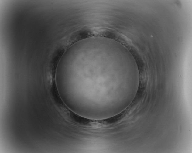 X0000088740703200705311447