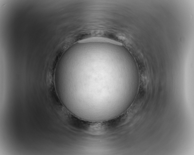 X0000088740705200705311447