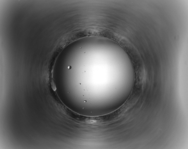 X0000088740706200705311447