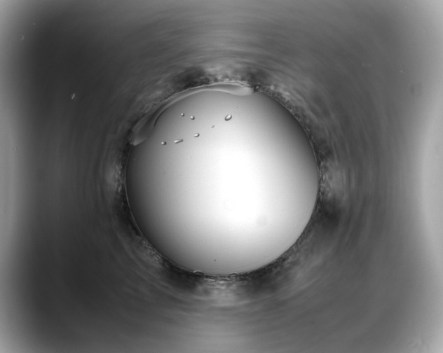 X0000088740713200705311447