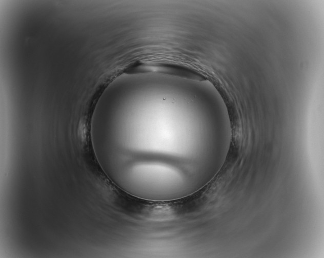 X0000088740715200705311447