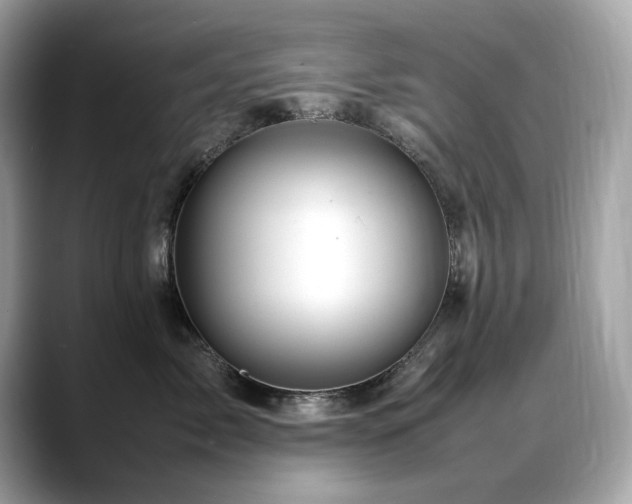 X0000088740717200705311447