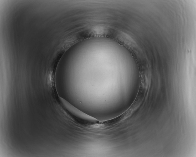 X0000088740718200705311447