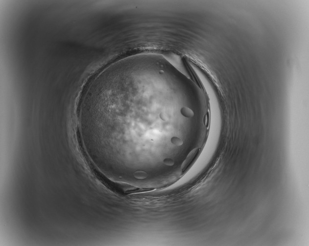 X0000088740721200705311447