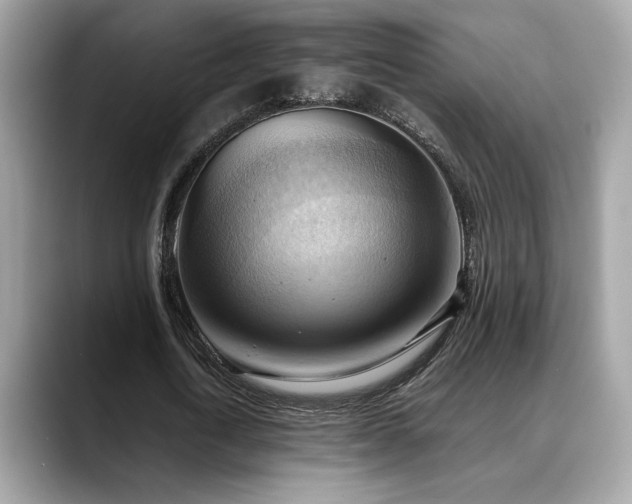 X0000088740722200705311447