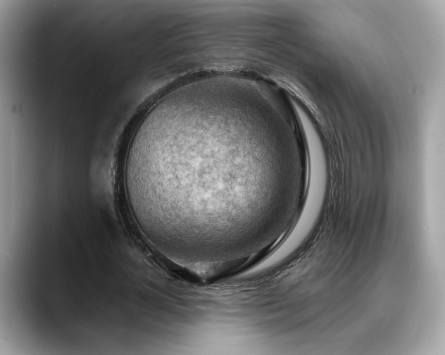 X0000088740724200705311447
