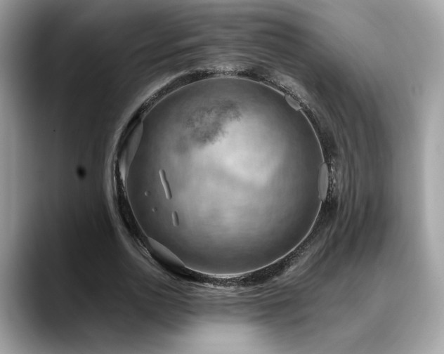 X0000088740726200705311447