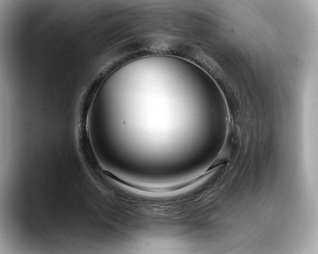 X0000088740728200705311447