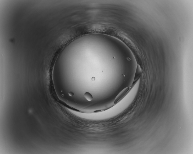 X0000088740729200705311447