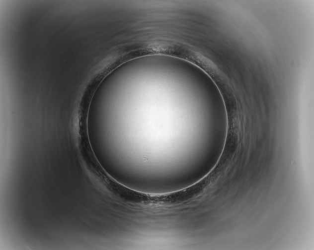 X0000088740730200705311447