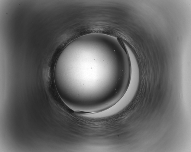 X0000088740731200705311447