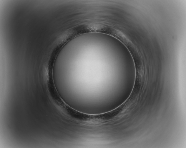 X0000088740734200705311447