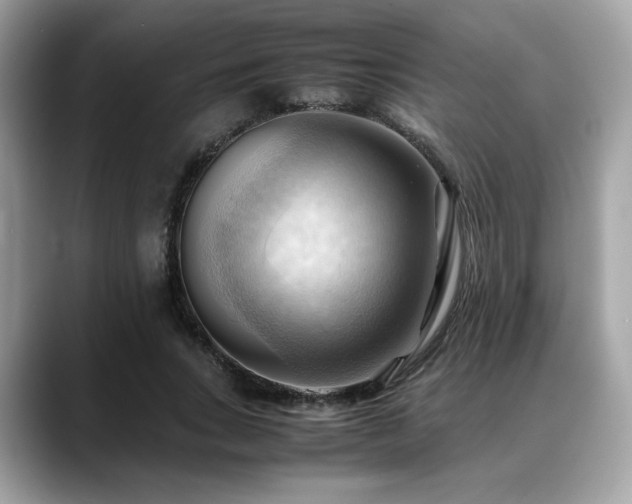 X0000088740735200705311447