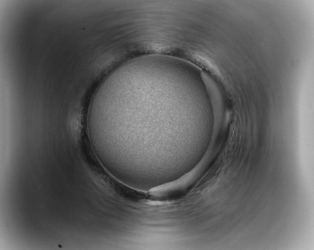 X0000088740736200705311447