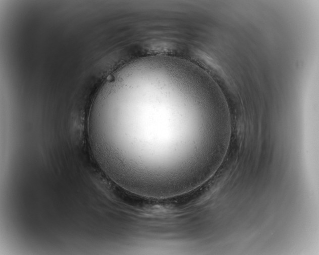 X0000088740737200705311447