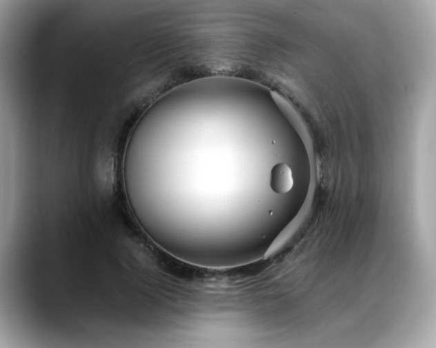 X0000088740740200705311447