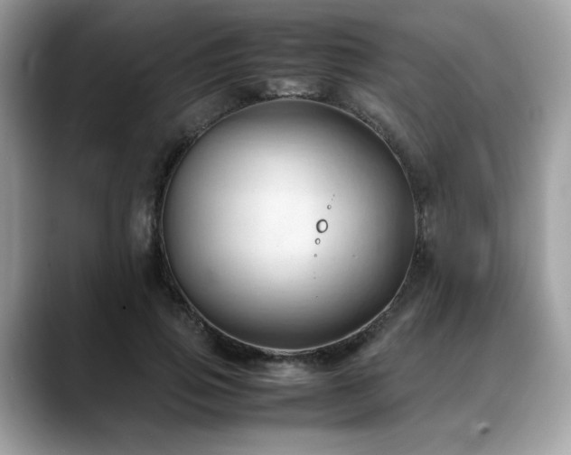 X0000088740741200705311447
