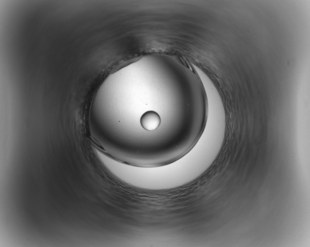 X0000088740743200705311447