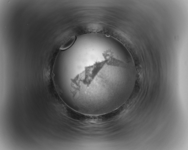 X0000088740745200705311447