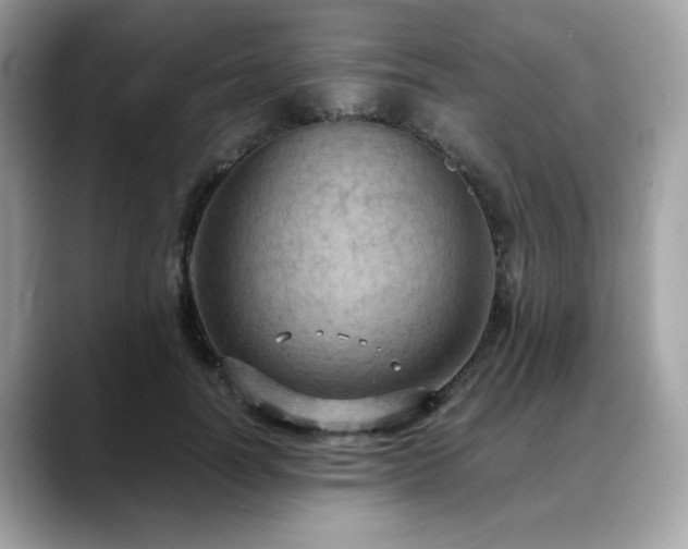 X0000088740746200705311447