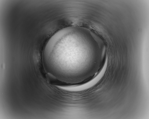 X0000088740748200705311447