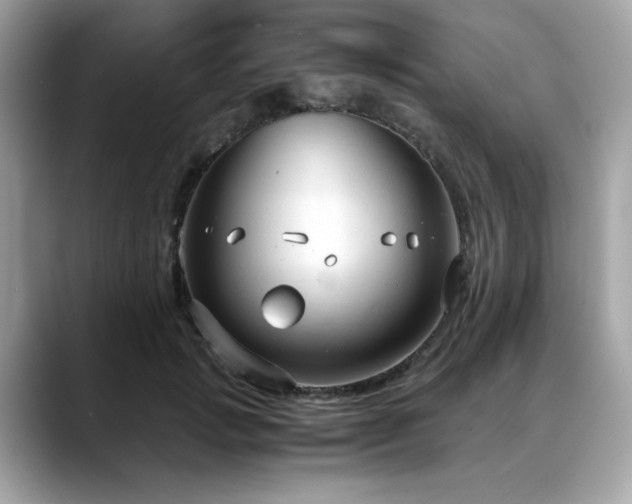 X0000088740749200705311447