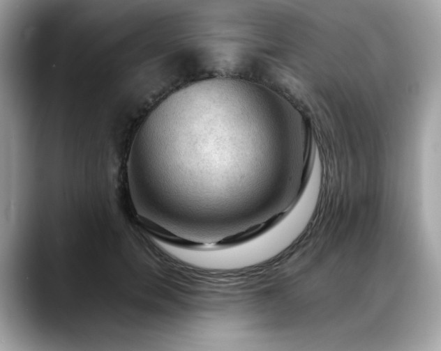 X0000088740750200705311447