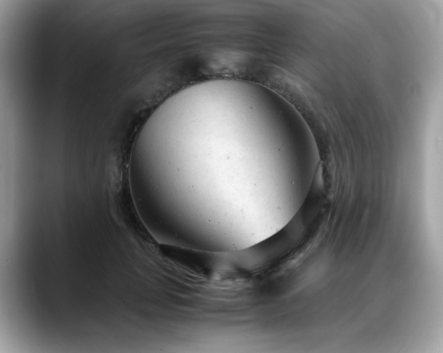 X0000088740751200705311447