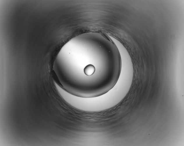 X0000088740752200705311447