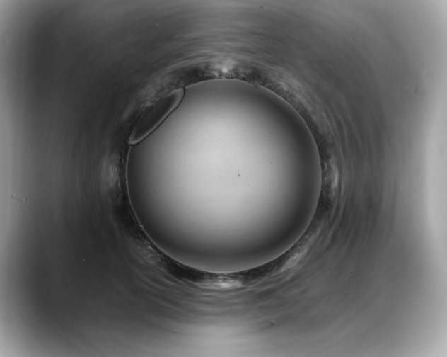 X0000088740754200705311447