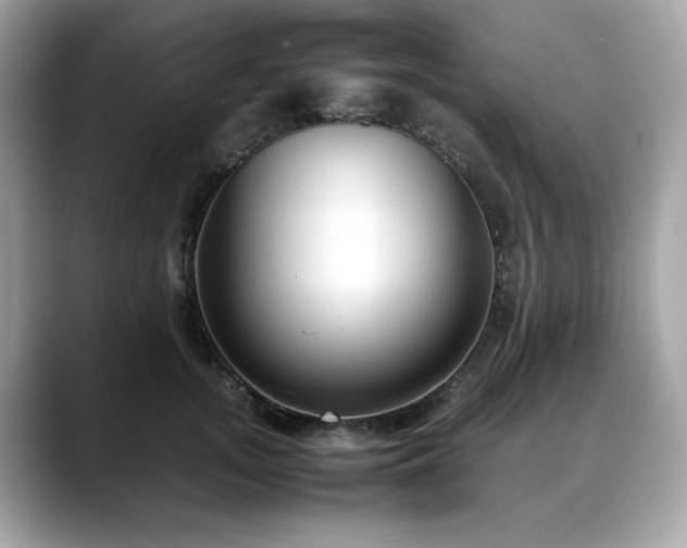 X0000088740755200705311447