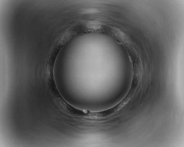 X0000088740758200705311447