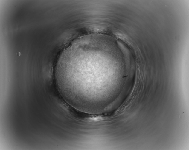 X0000088740760200705311447