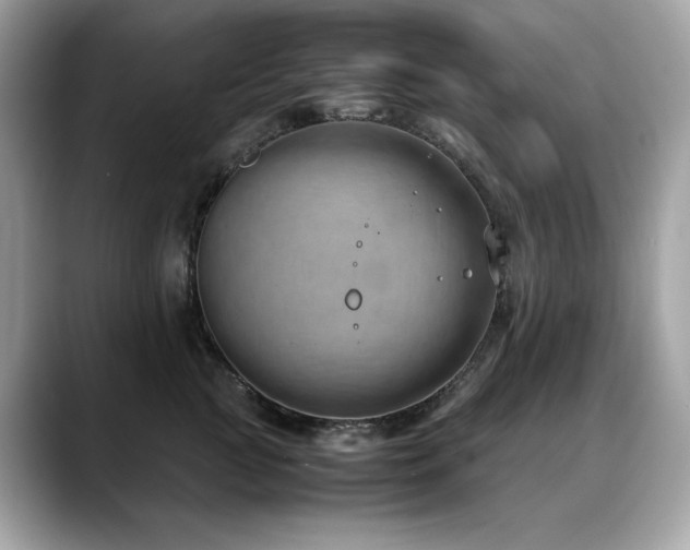 X0000088740761200705311447