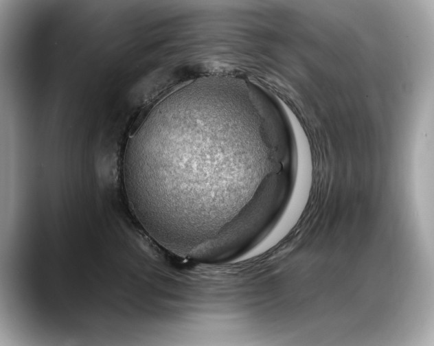 X0000088740762200705311447