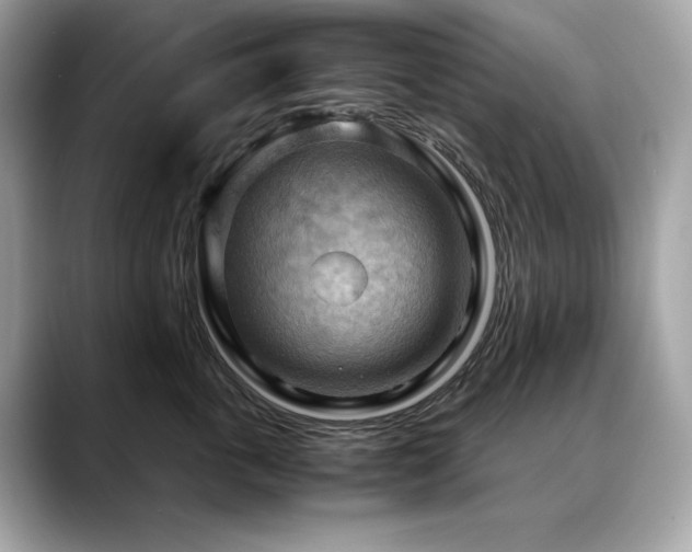 X0000088740763200705311447