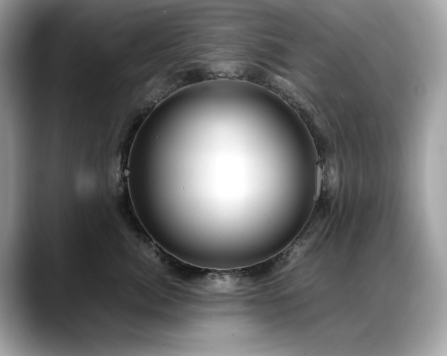 X0000088740764200705311447