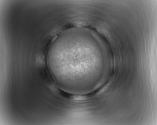X0000088740766200705311447