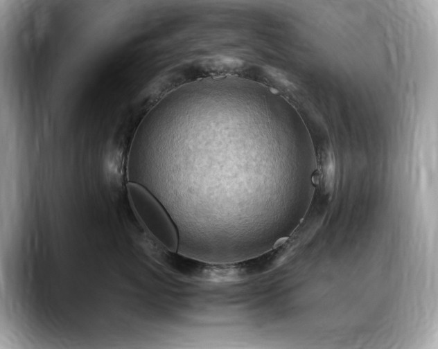 X0000088740767200705311447