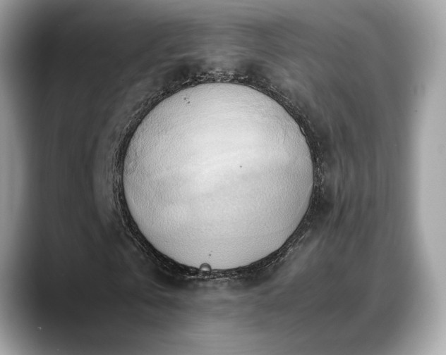 X0000088740769200705311447