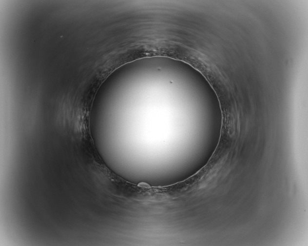 X0000088740770200705311447