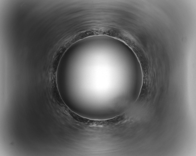 X0000088740773200705311447