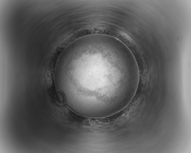 X0000088740774200705311446