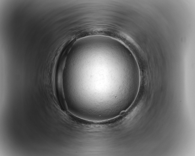 X0000088740777200705311446