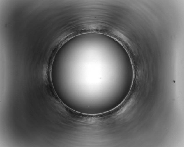 X0000088740778200705311446