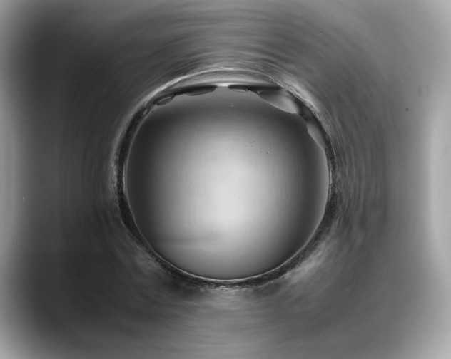 X0000088740779200705311446